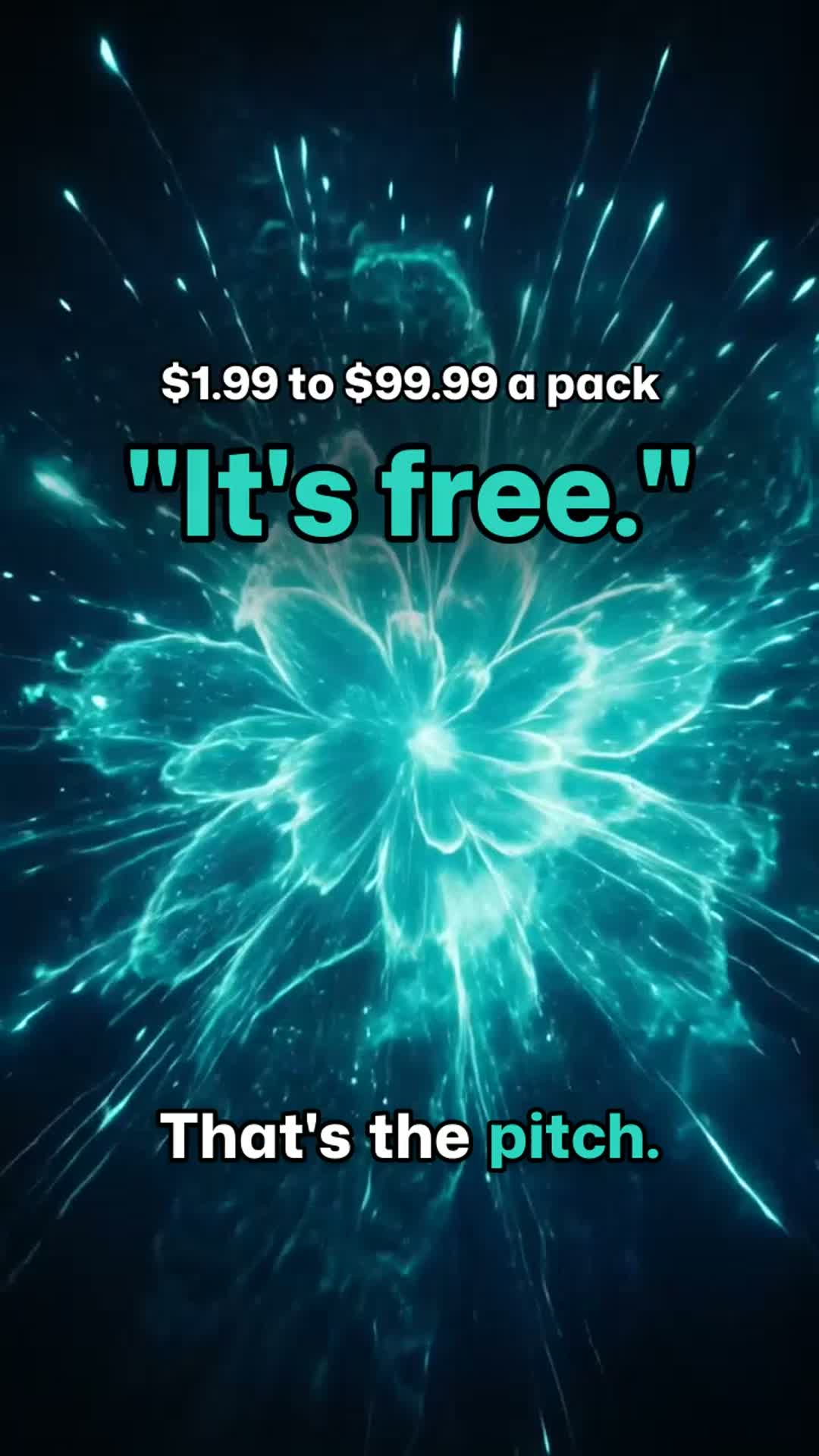 It was never free poster